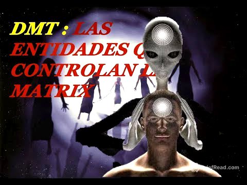 🔴El DMT Y Los que te esperan al otro lado....