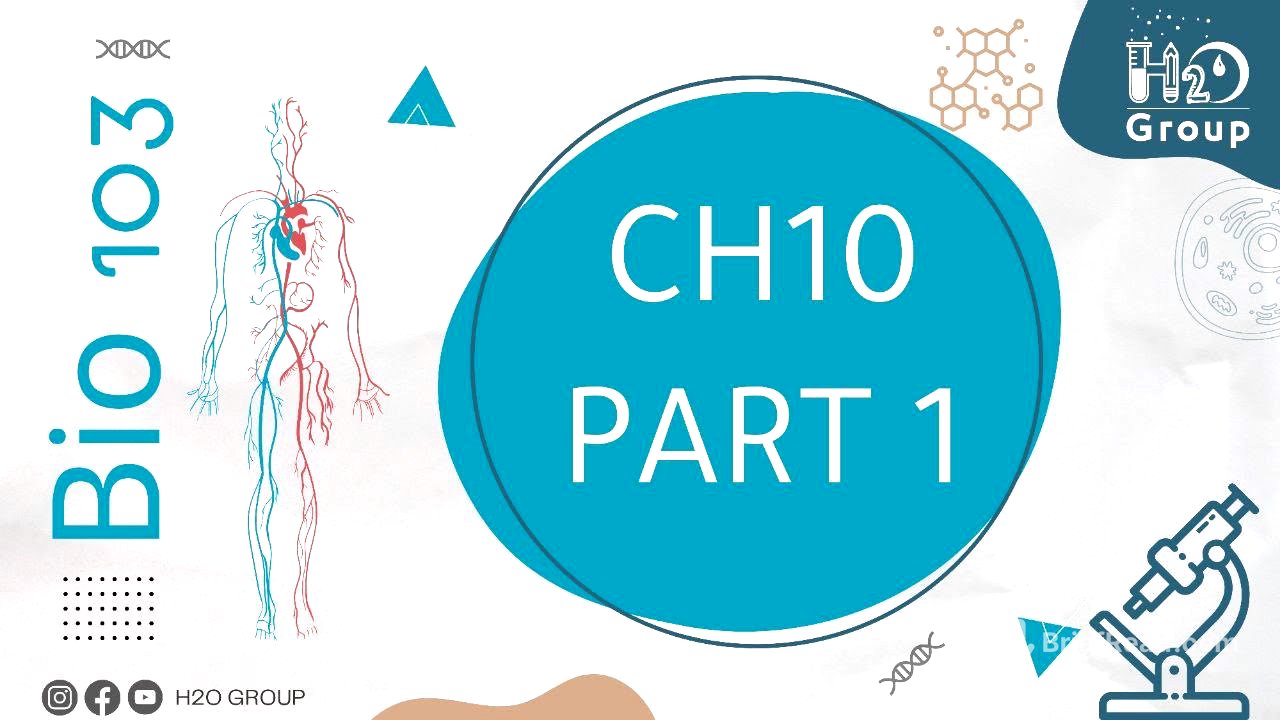 BT103 Lecture 15 Ch10 part1 || Dr Rami Alkhatib