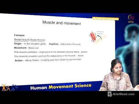 Muscles and movement