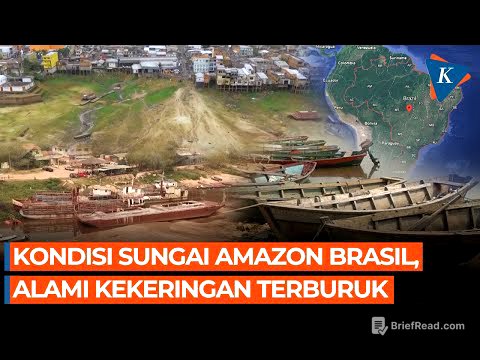 Penampakan Kekeringan di Amazon, Terburuk dalam 70 Tahun Terakhir