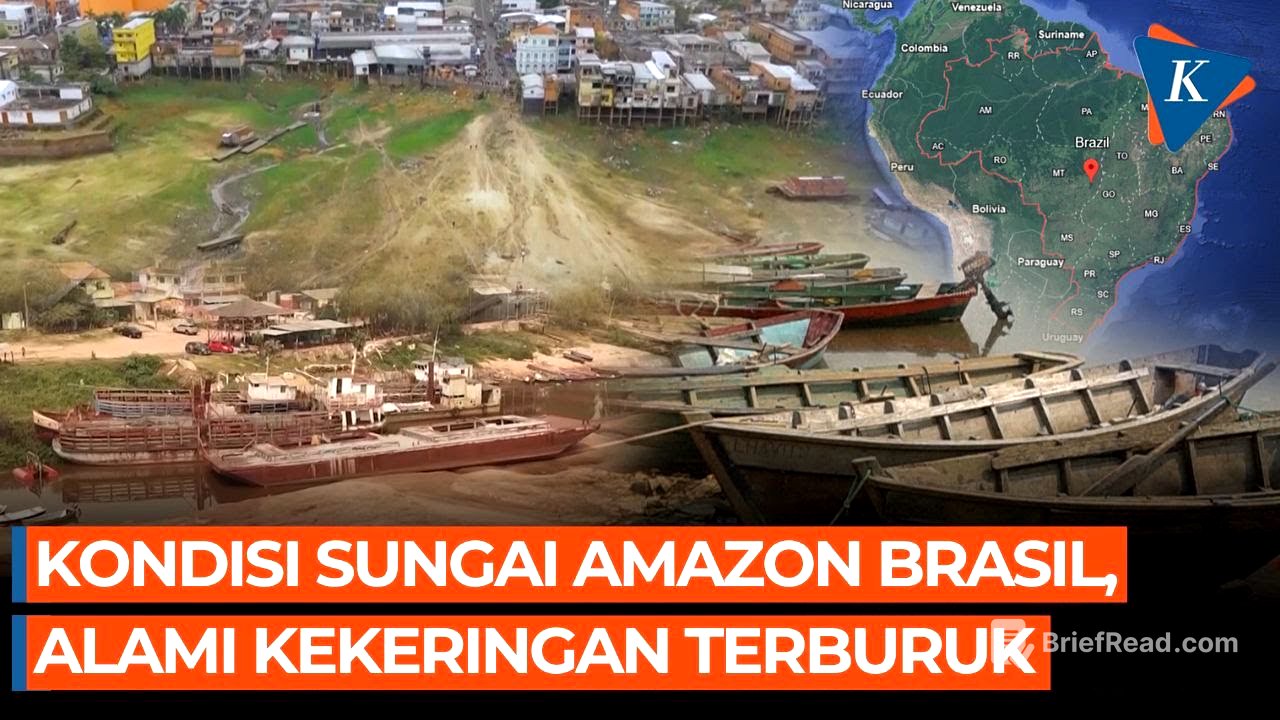 Penampakan Kekeringan di Amazon, Terburuk dalam 70 Tahun Terakhir