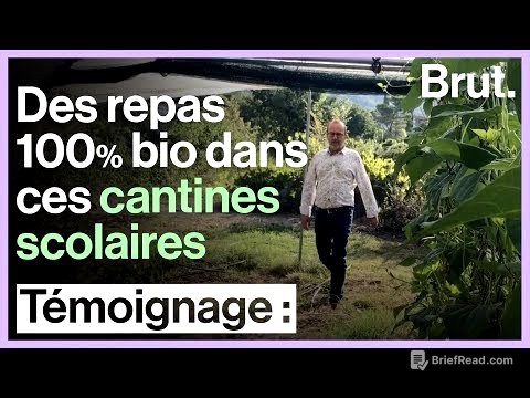 Ces cantines scolaires proposent des repas 100 % bio