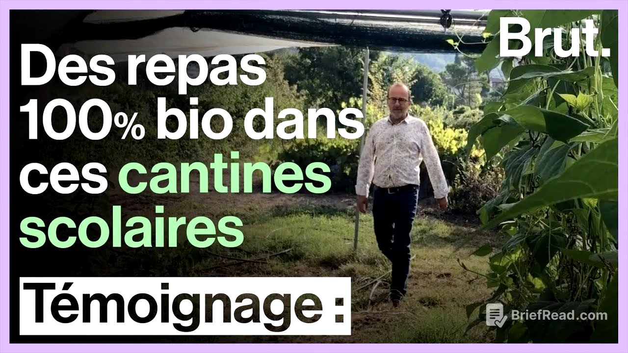 Ces cantines scolaires proposent des repas 100 % bio