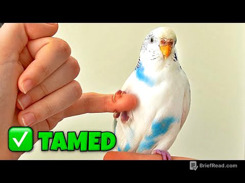 Tamed My Scared Bird in 3 Days - Here's How (FAST GUIDE)