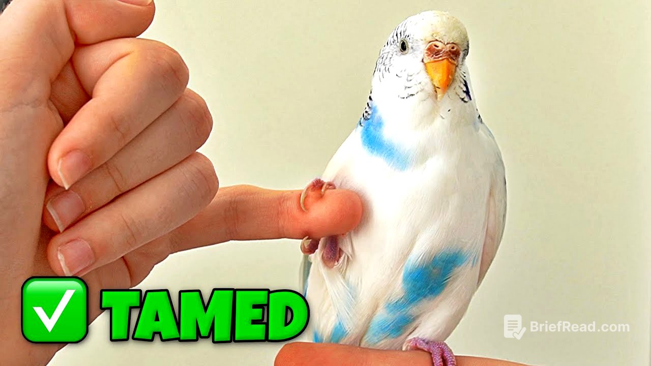 Tamed My Scared Bird in 3 Days - Here's How (FAST GUIDE)
