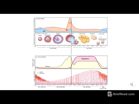 9 Control hormonal del ciclo menstrual