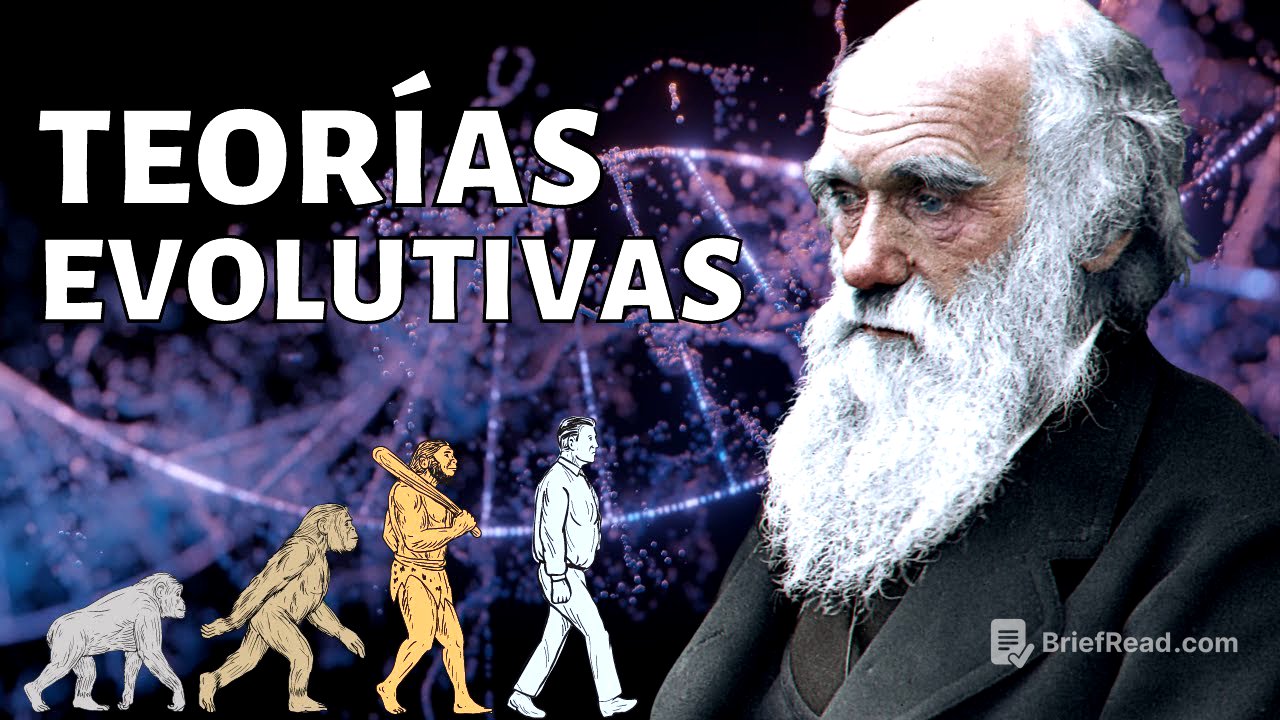 Las TEORÍAS EVOLUTIVAS explicadas: Leclerc, Lamarck, Wallace, Darwin, otros🦒