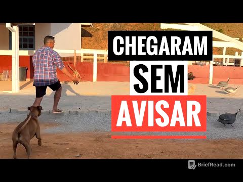 HOJE O SÍTIO FOI INVADIDO POR ANIMAIS SELVAGENS.