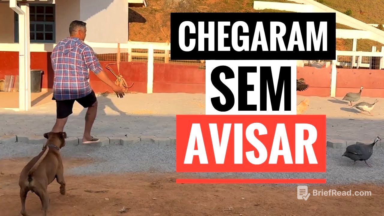 HOJE O SÍTIO FOI INVADIDO POR ANIMAIS SELVAGENS.