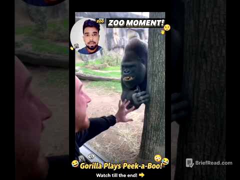 Gorilla ka Punch Kitna Dangerous Hota Hai? 😱🔥 Sunday Saturday 2025 shorts