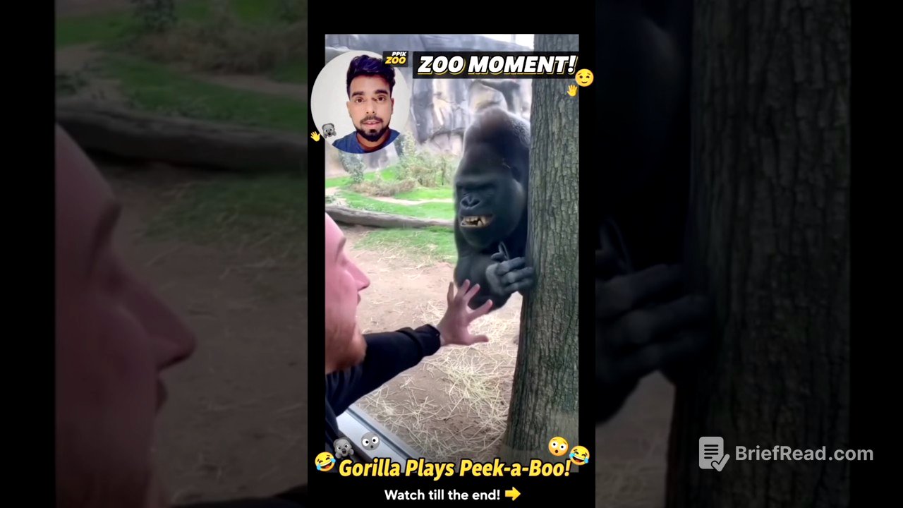 Gorilla ka Punch Kitna Dangerous Hota Hai? 😱🔥 Sunday Saturday 2025 shorts