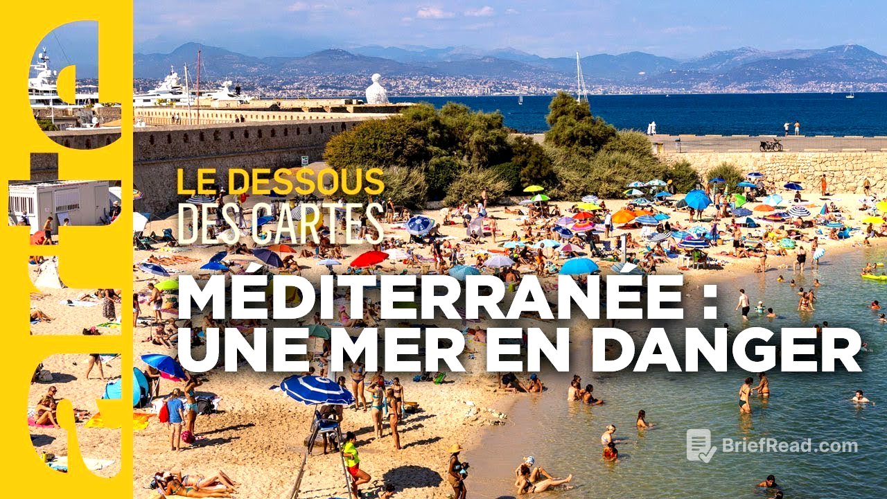 La Méditerranée, une mer en danger | Le Dessous des Cartes | ARTE