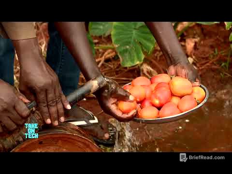 Take On Tech: How  Smart Agricultural Technologies are improving Food Security