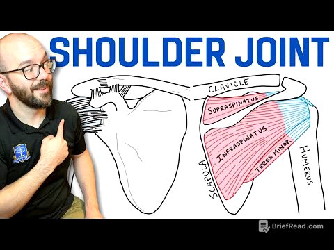 Anatomy of the Shoulder Joint | Bones, Ligaments, and Muscles
