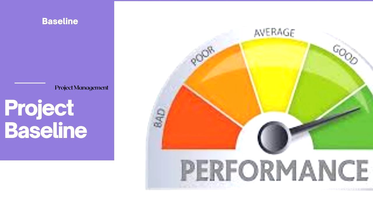What is Project Baseline