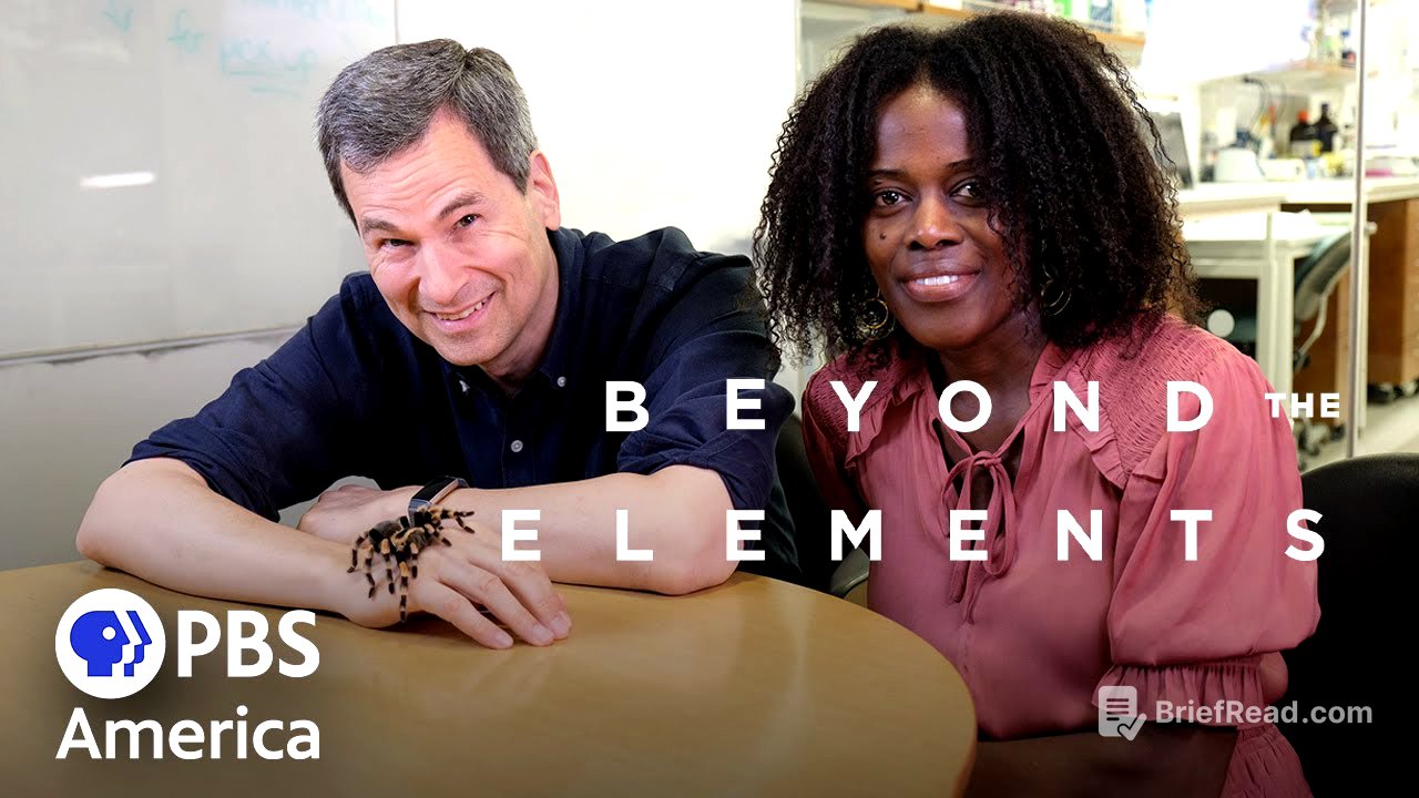 Beyond The Elements - Reactions (2021) | Full Documentary | NOVA