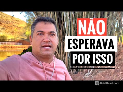 A CASA CAIU NO SÍTIO HOJE. VOU TER QUE REFAZER.