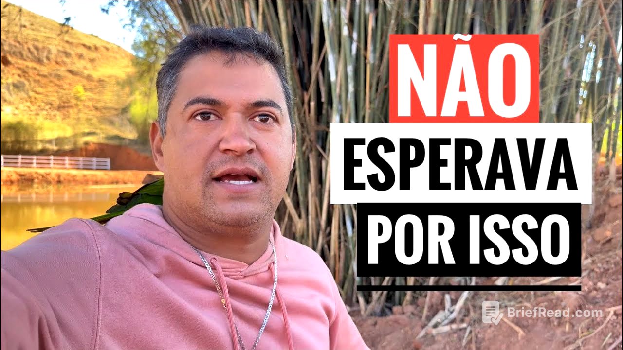 A CASA CAIU NO SÍTIO HOJE. VOU TER QUE REFAZER.