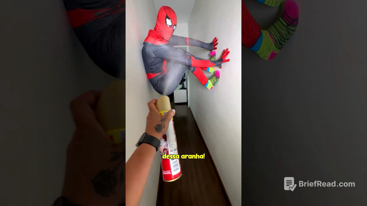 QUANDO VOCÊ ENCONTRA UMA ARANHA GIGANTE