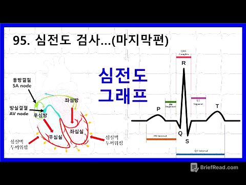 95. 심전도  검사에 대하여 - 심전도 그래프 설명