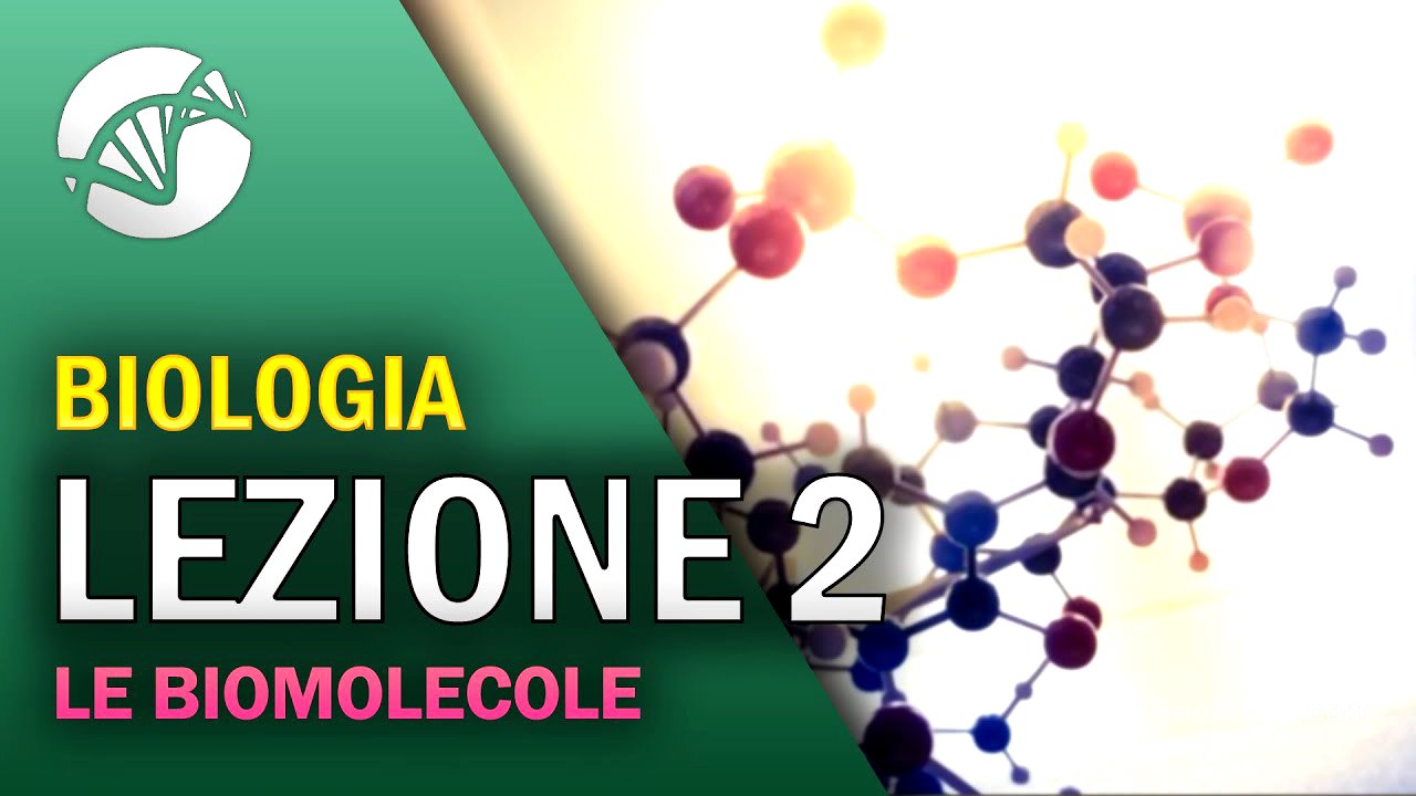 BIOLOGIA - Lezione 2 - Le Biomolecole