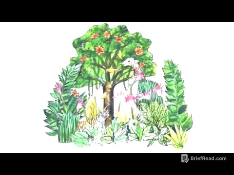 Simple Animated Video: What is a carbon footprint? What can you do about yours?