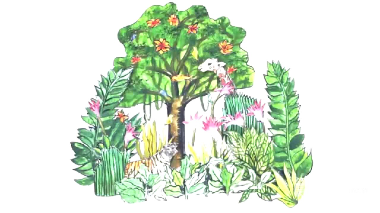 Simple Animated Video: What is a carbon footprint? What can you do about yours?