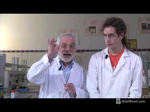 Ketchup in ascensore