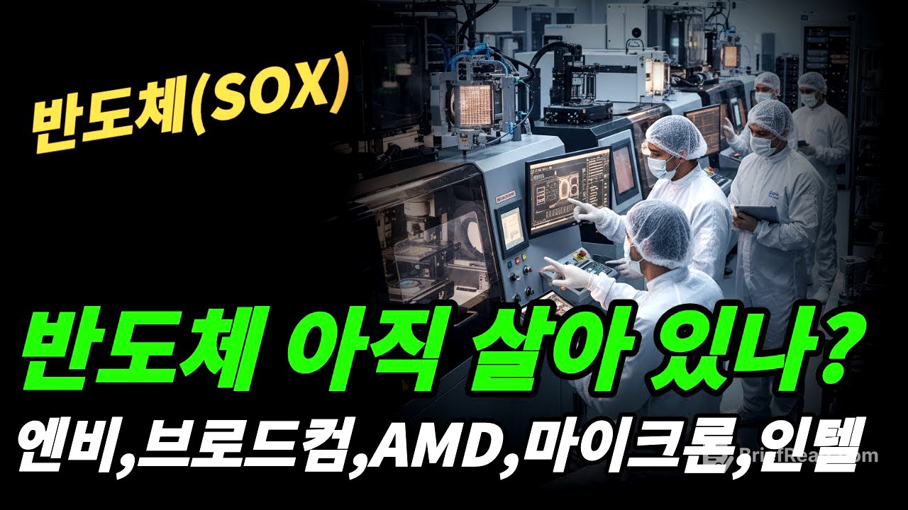 (반도체) 일시조정 VS 하락시작