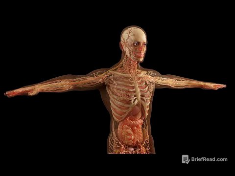 661-ES Elena, después de la vida física - Freddy Marin Hipnosis Regresiva Team Grifasi