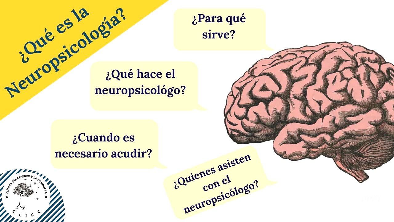 ¿SABES QUÉ ES LA #NEUROPSICOLOGÍA? TODO LO QUE TIENES QUE SABER