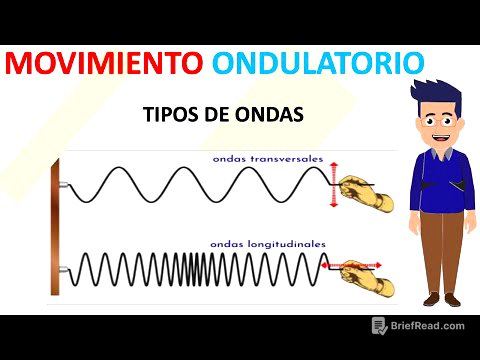 MOVIMIENTO ONDULATORIO | Tipos de Ondas | Paso a Paso - Diviértete Aprendiendo.