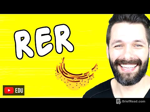 RETÍCULO ENDOPLASMÁTICO RUGOSO OU GRANULAR | Biologia com Samuel Cunha