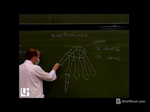Anatomie générale 1: Ostéo-arthrologie [General anatomy of bones and joints-auto dubbed video]