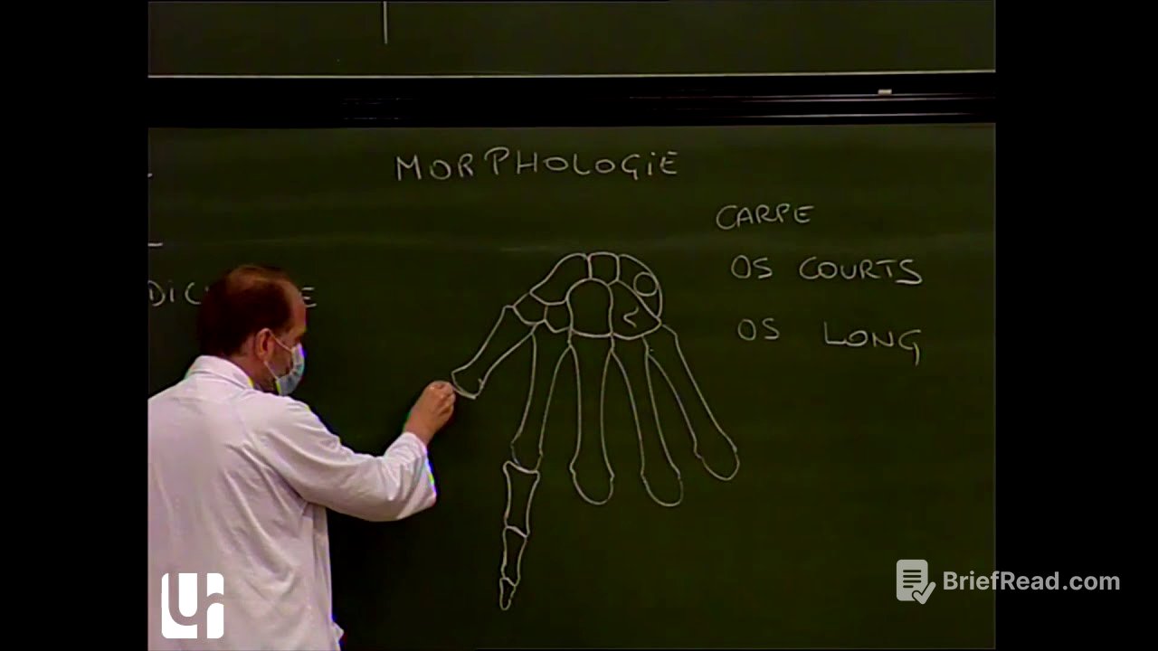 Anatomie générale 1: Ostéo-arthrologie [General anatomy of bones and joints-auto dubbed video]