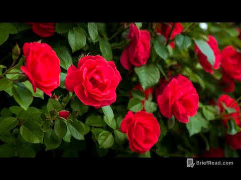 why Plants are necessary for Earth planet ?? |@DrTariqRajput #plants #biosphere #earth#roses