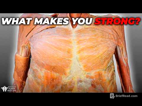 The Most Important Thing You Can Do To Build Strength