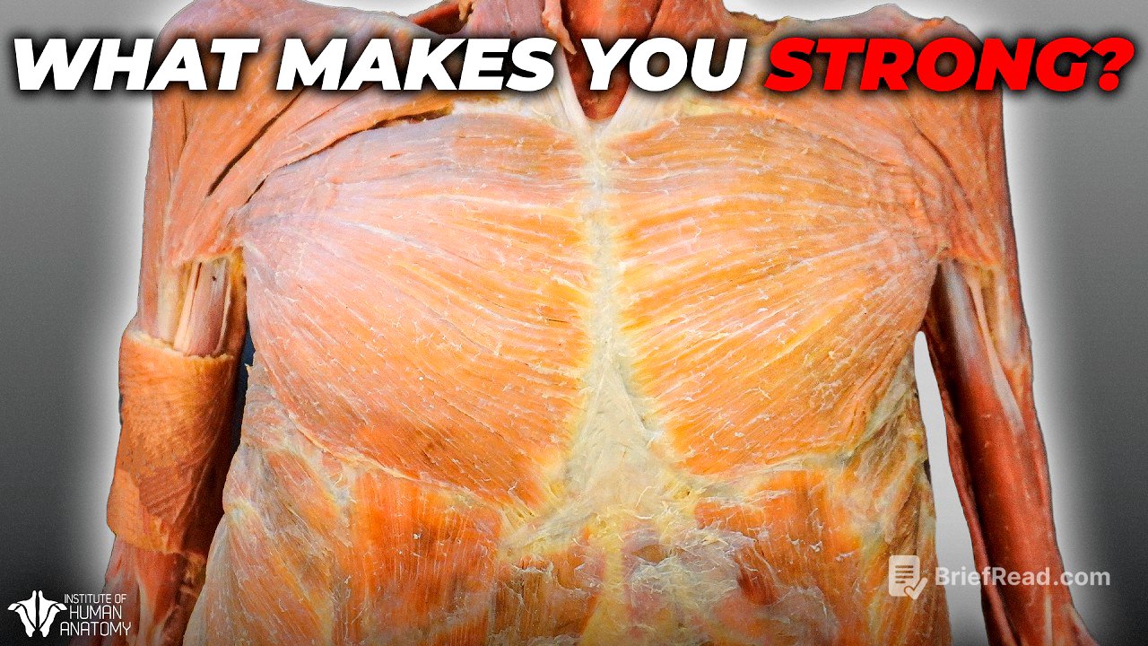 The Most Important Thing You Can Do To Build Strength