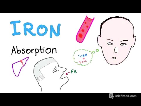 Iron Studies - Iron Absorption - Ferrous (Fe2+), Ferric (Fe3+), TIBC, Ferritin, Transferrin - Part 1