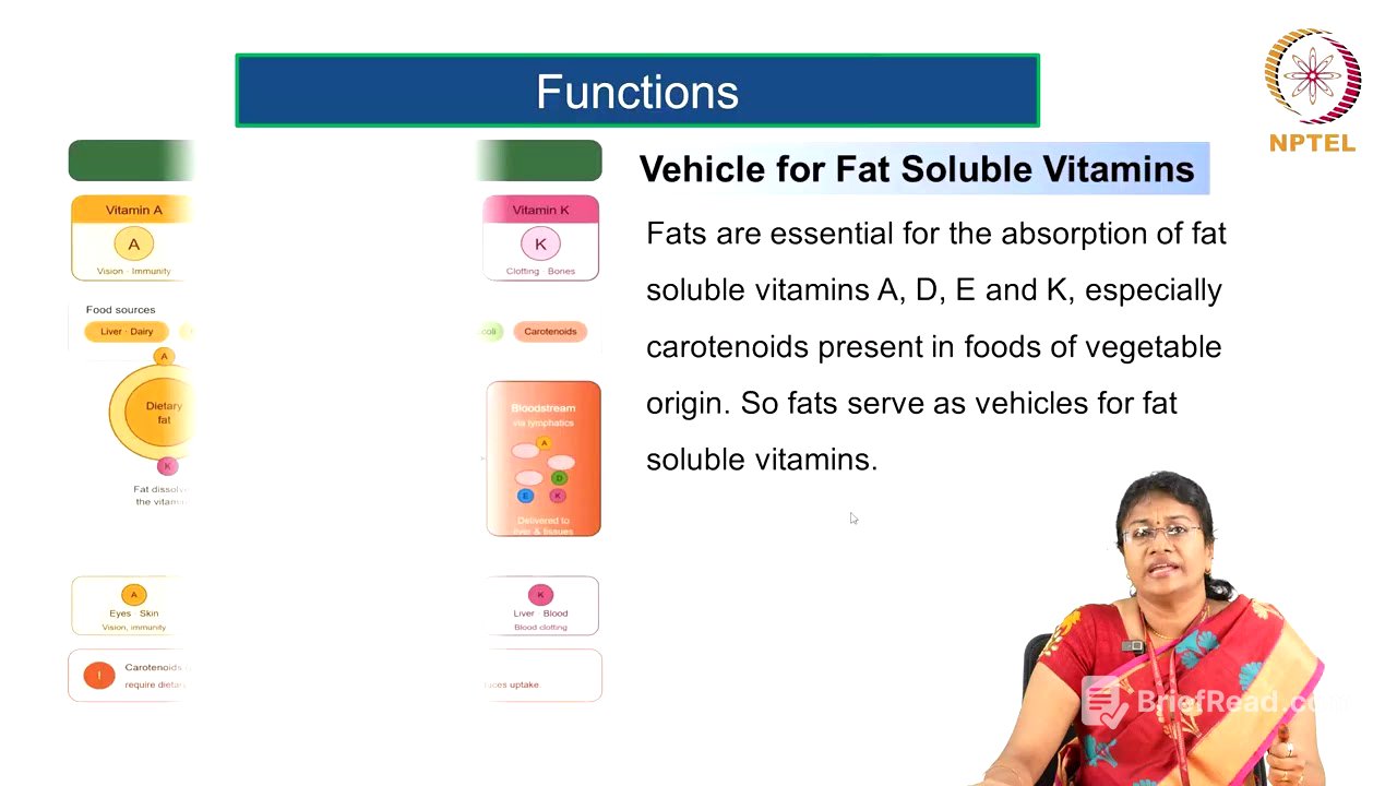 Fats