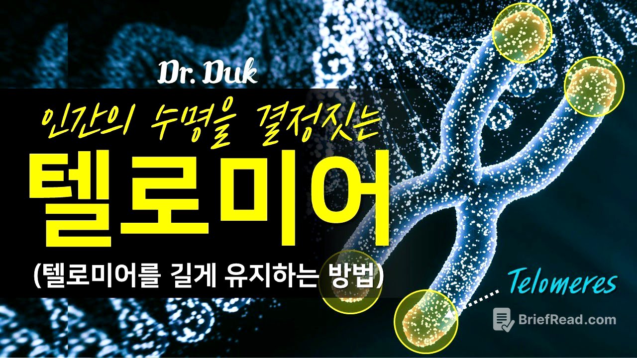 텔로미어에 대해서: 어떻게 하면 건강하게 오래 살 수 있을까? (명상 효과)