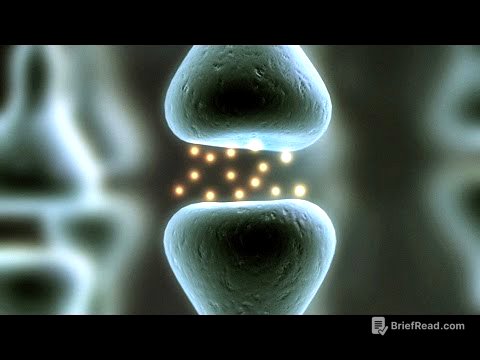 The power of believing that you can improve | Carol Dweck | TED
