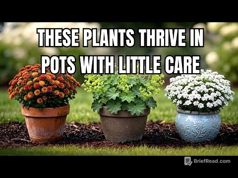 11 Perennials That Thrive in Containers