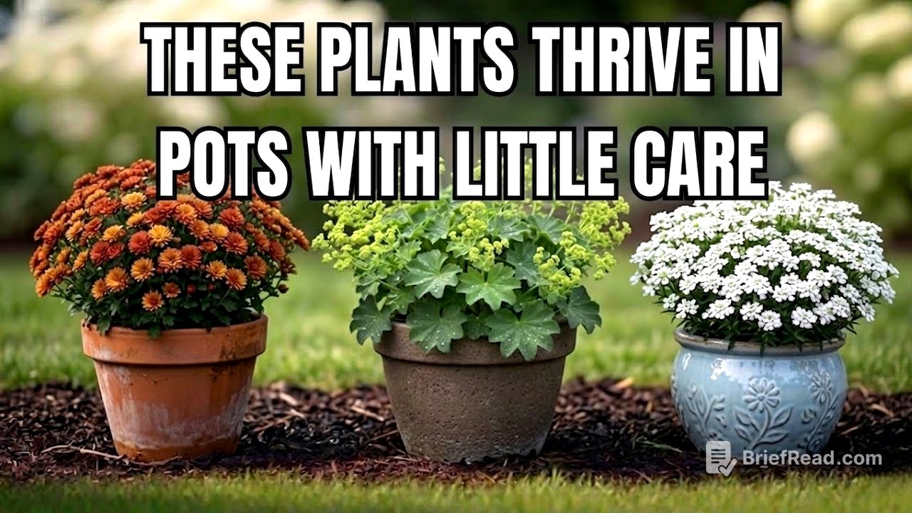 11 Perennials That Thrive in Containers
