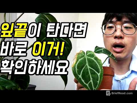 식물 잎끝이 타는 진짜 이유 | 바로 해결해봐요! 식린이도 할 수 있어요