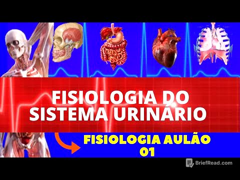 FISIOLOGIA DO SISTEMA URINÁRIO/EXCRETOR (FISIOLOGIA DE GUYTON) - FISIOLOGIA RENAL - AULÃO FISIOLOGIA