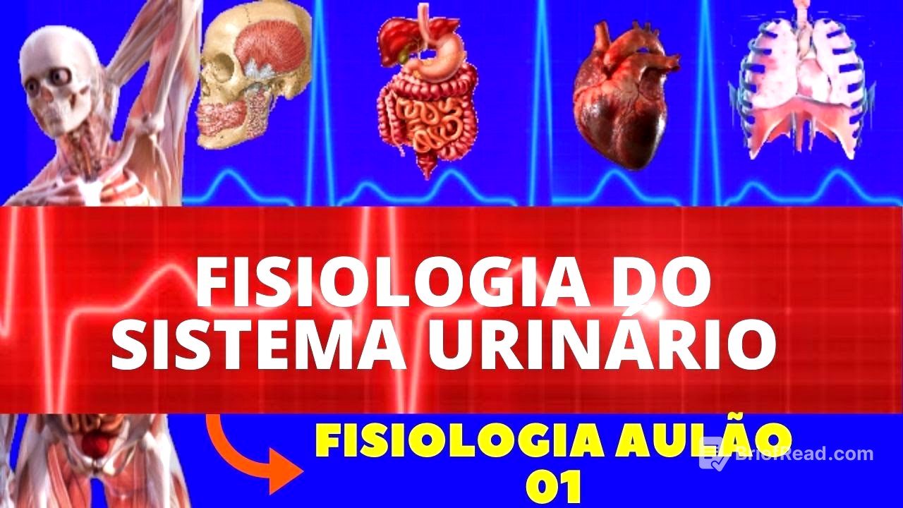 FISIOLOGIA DO SISTEMA URINÁRIO/EXCRETOR (FISIOLOGIA DE GUYTON) - FISIOLOGIA RENAL - AULÃO FISIOLOGIA