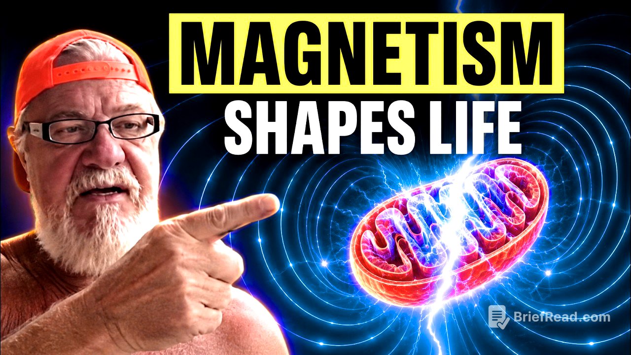 Dr. Jack Kruse Explains How Life Organizes Around Magnetism, Quantum Physics & Ancient Civilizations