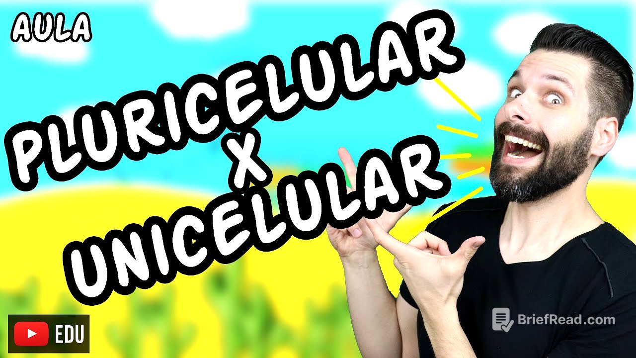 Organismos Unicelulares e Pluricelulares (Multicelulares) | Biologia com Samuel Cunha