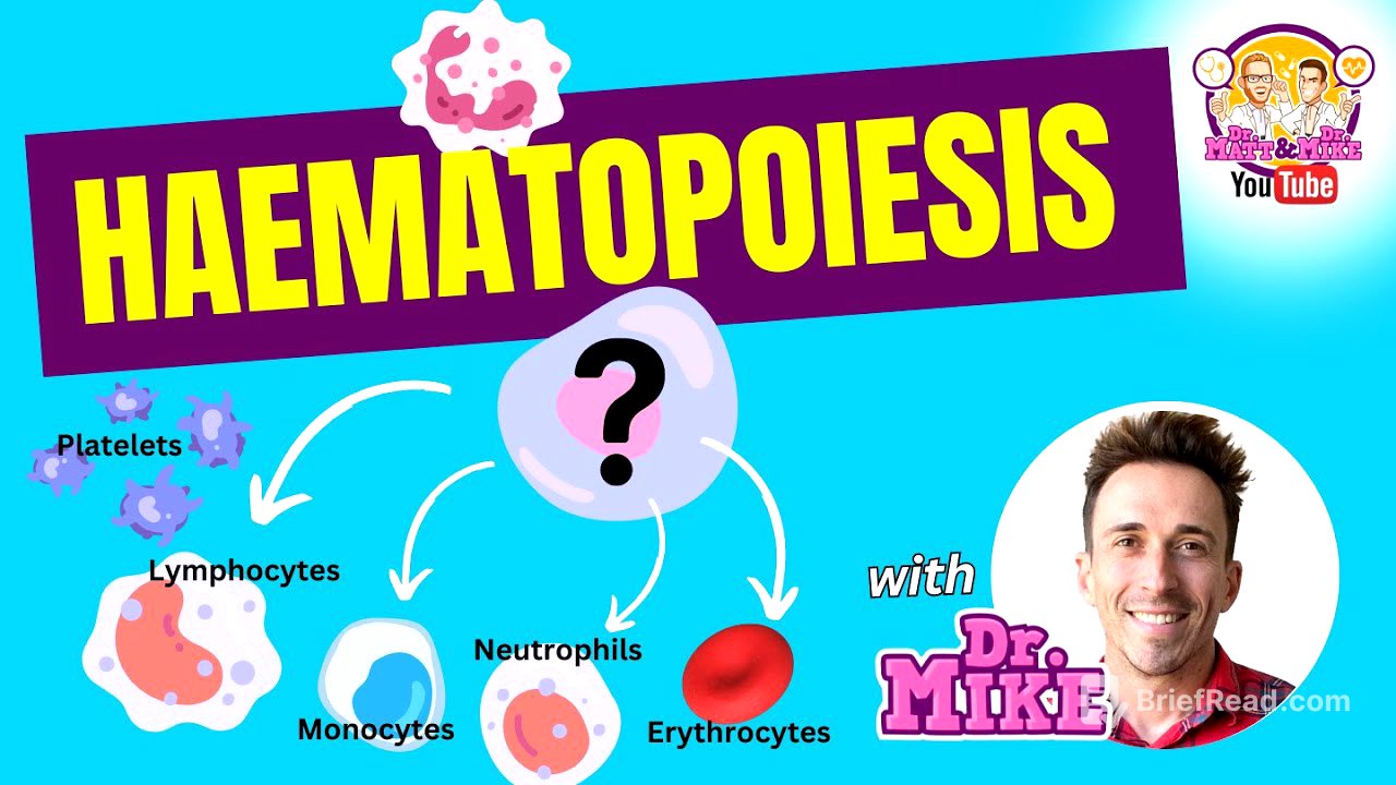 Hematopoiesis | Formation of blood cells